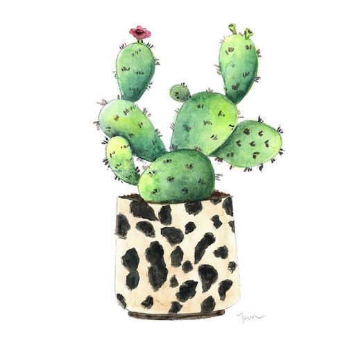 Tava Studios 작가의 Spotted Cactus 작품