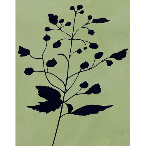 Jill, Susan 아티스트의 Earthly Botanical II작품입니다.