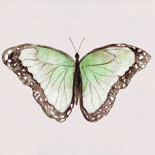 Tava Studios 아티스트의 Emerald Butterfly I작품입니다.
