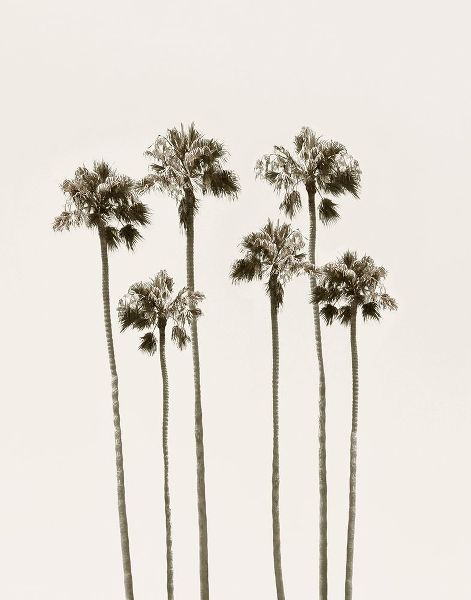 Carpentieri, Natalie 아티스트의 Palm Getaway작품입니다.