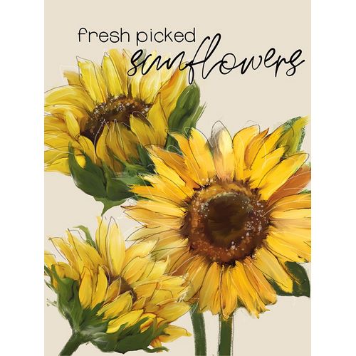 Knutsen, Conrad 아티스트의 Fresh Picked Sunflowers작품입니다.