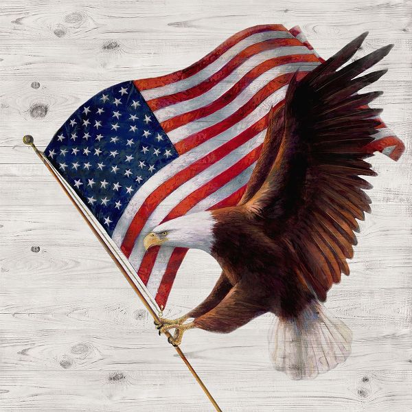 Manning, Ruane 아티스트의 Patriotic Eagle작품입니다.