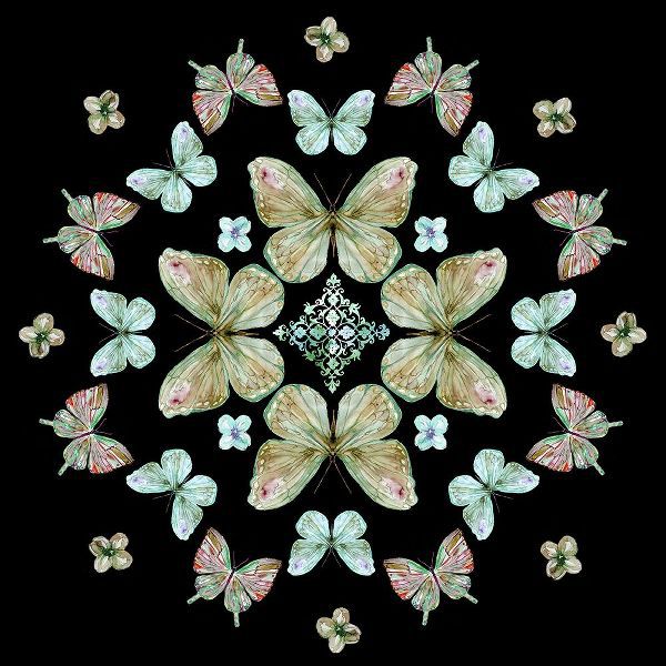 Robinson, Carol 아티스트의 Butterfly Kaleidoscope작품입니다.