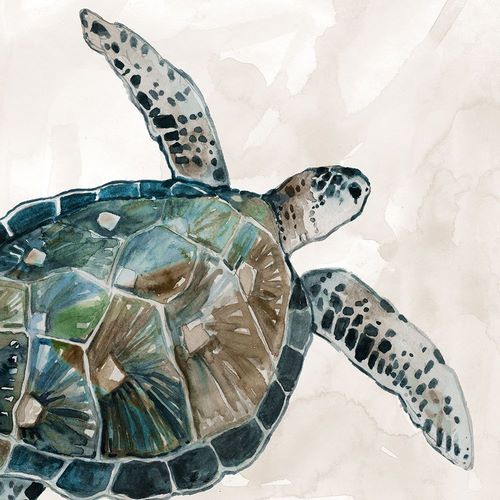 Robinson, Carol 아티스트의 Neutral Sea Turtle I작품입니다.