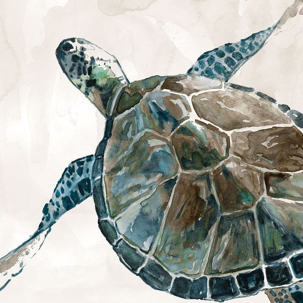 Robinson, Carol 아티스트의 Neutral Sea Turtle II작품입니다.