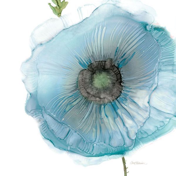 Robinson, Carol 아티스트의 Iridescent Blue Poppy II작품입니다.
