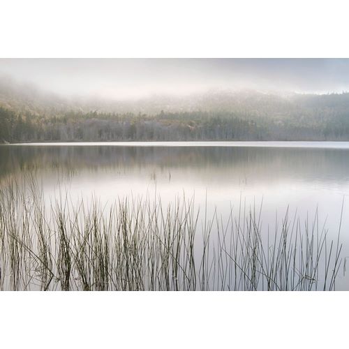 Delimont, Danita 아티스트의 Lake Fog작품입니다.