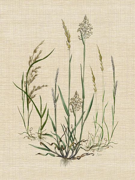 Nan 아티스트의 Linen Grasses I작품입니다.
