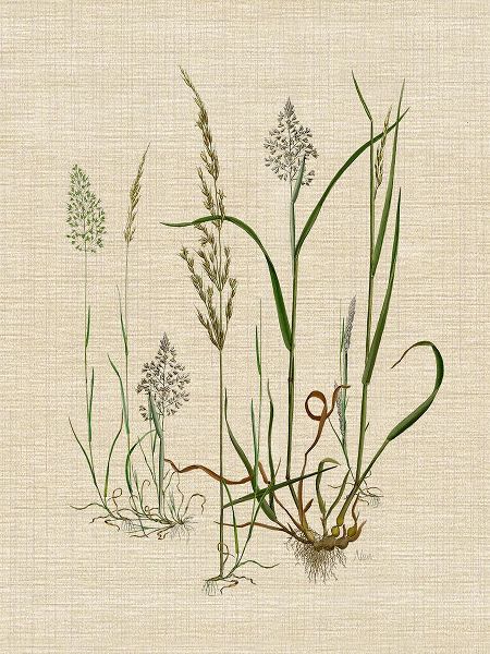Nan 아티스트의 Linen Grassses II작품입니다.