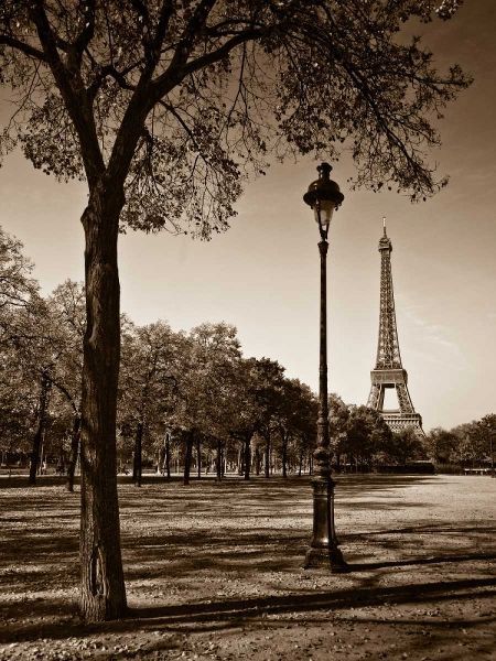 An Afternoon Stroll - Paris I