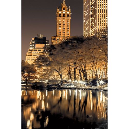 Central Park Glow II