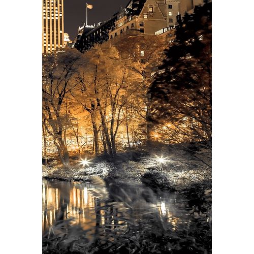 Central Park Glow III