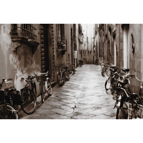 Lucca Bikes