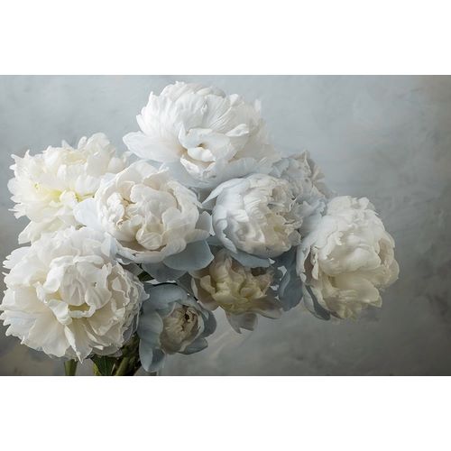 A Gift of Peonies