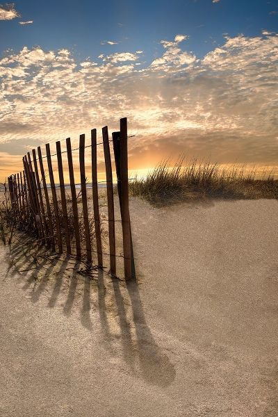 Dune Fence at Sunrise