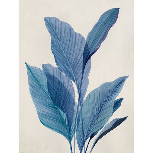 Aria K 아티스트의 Blue Palm Leaves I 작품입니다.