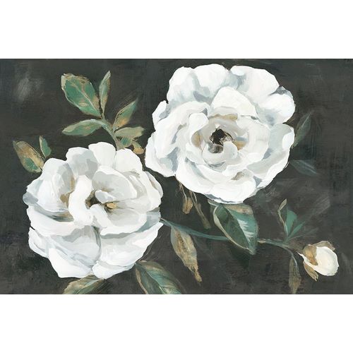 Aria K 아티스트의 White Blooms작품입니다.