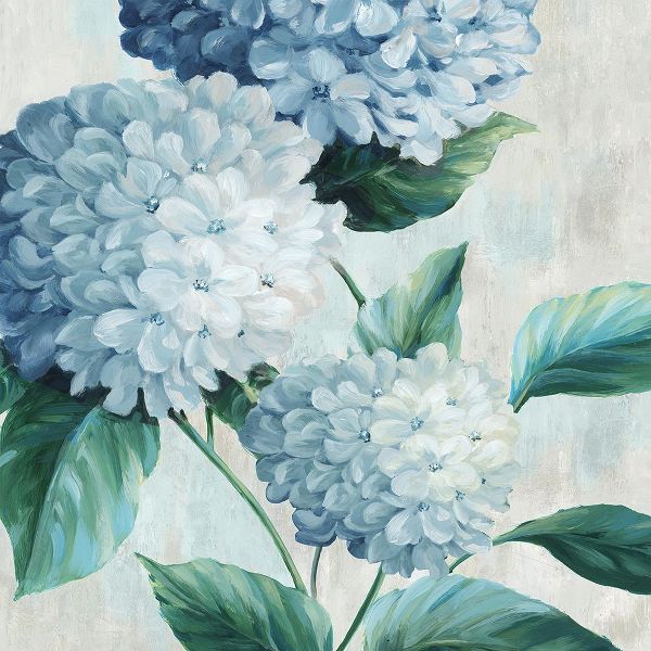Black, Alex 아티스트의 Blue Hydrangea Blooms I작품입니다.