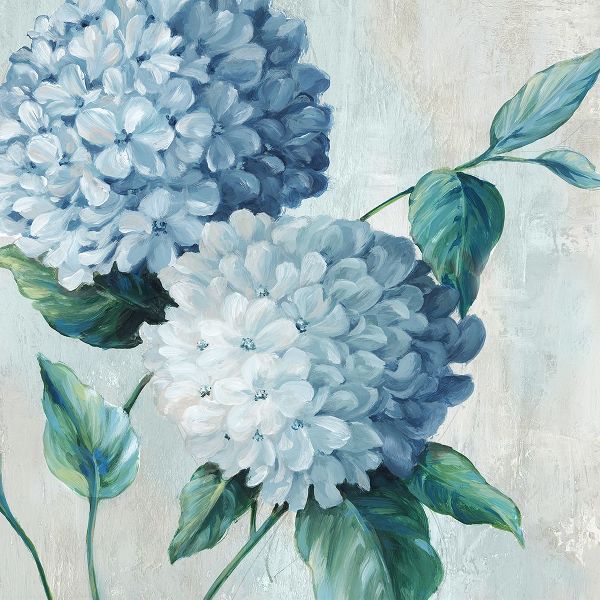Black, Alex 아티스트의 Blue Hydrangea Blooms II작품입니다.