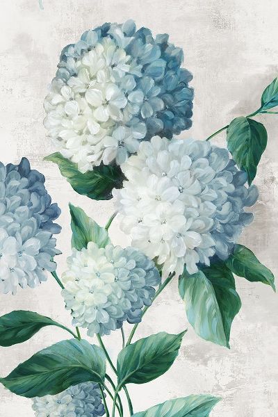 Black, Alex 아티스트의 Blue Hydrangea Florals작품입니다.