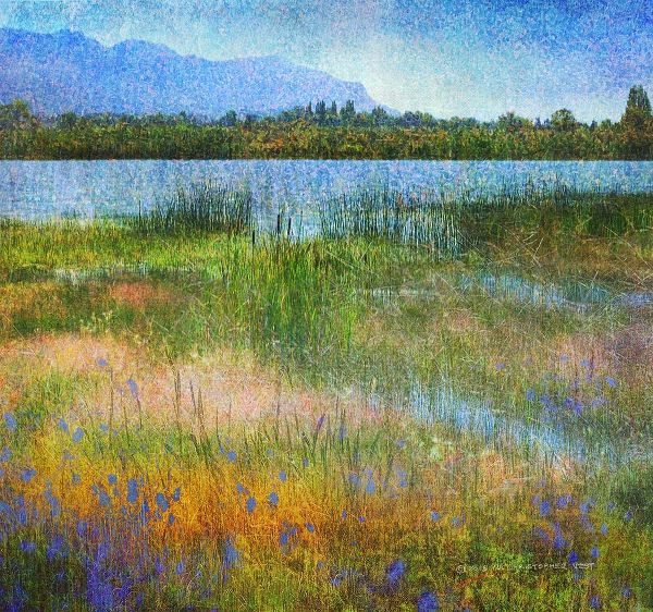 Lake Near Mesa Verde