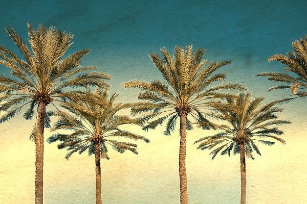 Stein, Daniel 아티스트의 Distressed Palm Trees작품입니다.