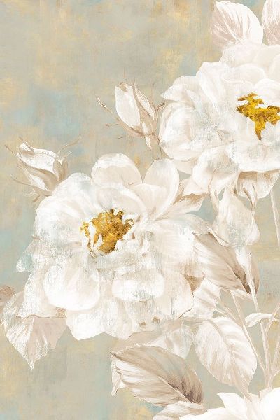 White Rose II