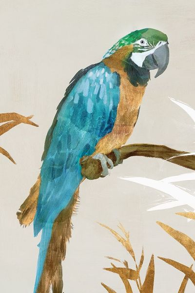 Blue Parrot I