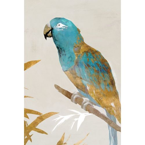Blue Parrot II
