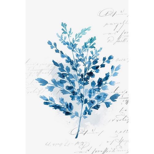 Botanical Blue III