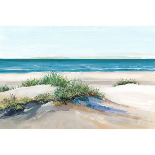Isabelle Z 아티스트의 Beach Sand Dune II 작품