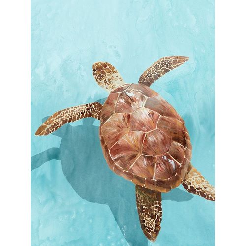 Isabelle Z 아티스트의 Ocean Deep Turtle II 작품