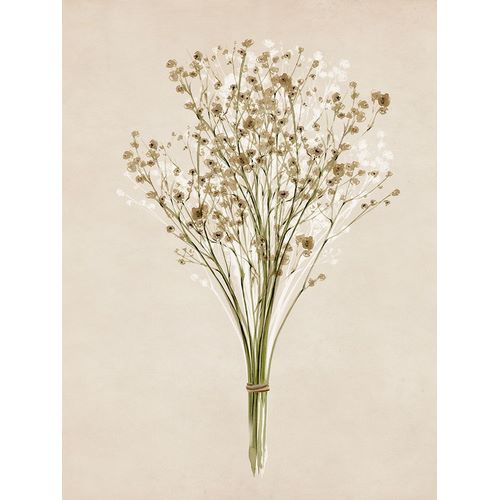 Isabelle Z 작가의 Vintage Dried Bunch III 작품