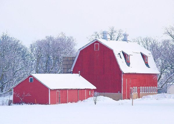 Winter Red Barn