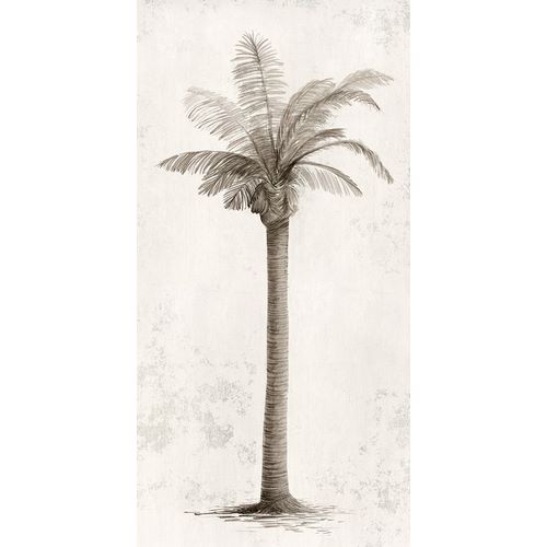 Ian C 작가의 Vintage Palm Tree I  작품