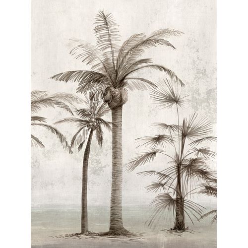 Ian C 작가의 Vintage Palm Trees I  작품