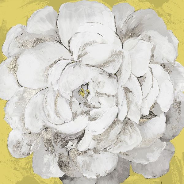 White Peonia Yellow Version