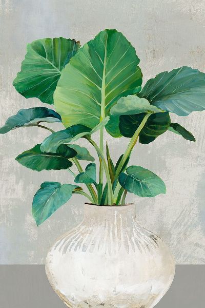 Jensen, Asia 아티스트의 Indoor Plants II작품입니다.