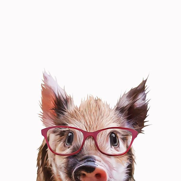 Curinga, Kim 아티스트의 Peekaboo Pig  작품