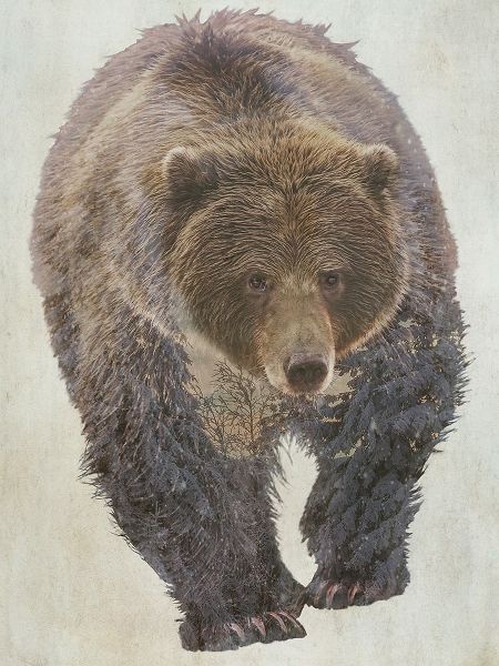 Curinga, Kim 아티스트의 Brown Bear Walking 작품