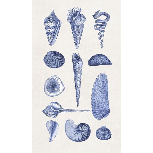 Haase, Andrea 아티스트의 Blue Shells I작품입니다.