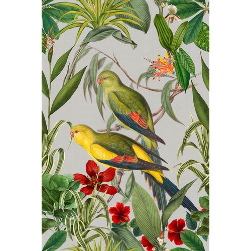 Haase, Andrea 아티스트의 Parakeets Tropical Garden  II작품입니다.