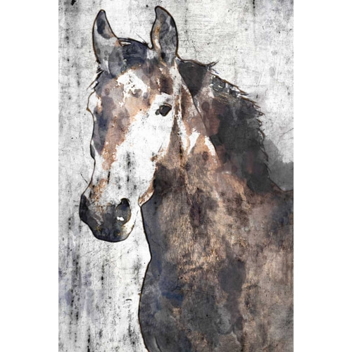 Horse Portrait II
