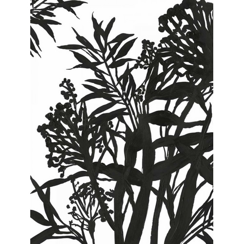 Monochrome Foliage II