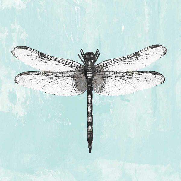 Dragonfly I