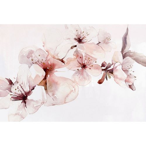 Watercolor Blossoms I