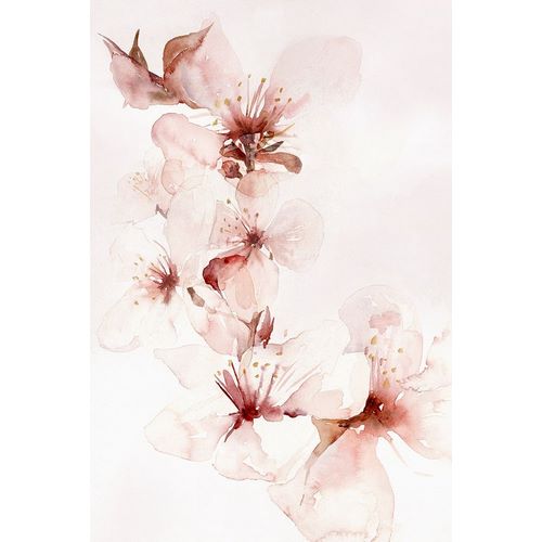 Watercolor Blossoms II