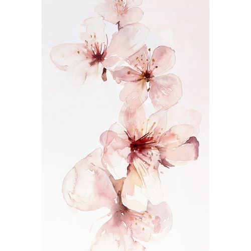 Watercolor Blossoms III
