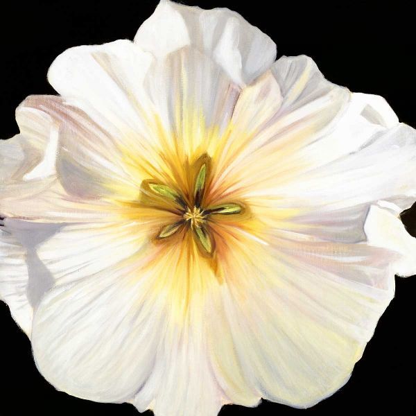 White Bloom I