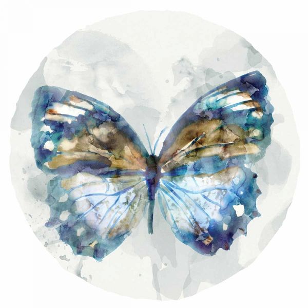 Indigo Butterfly I